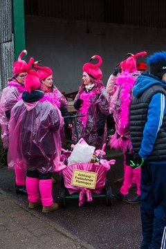 Bild 46 - Latuff Umzug